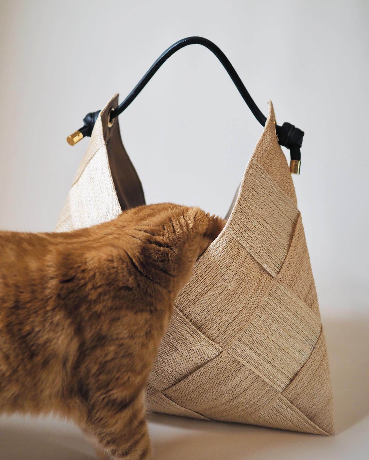 写真：「アバカ」素材のかごバッグに顔を突っ込む猫のつむじちゃん