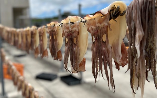 奥武島のトビウオ天日干し