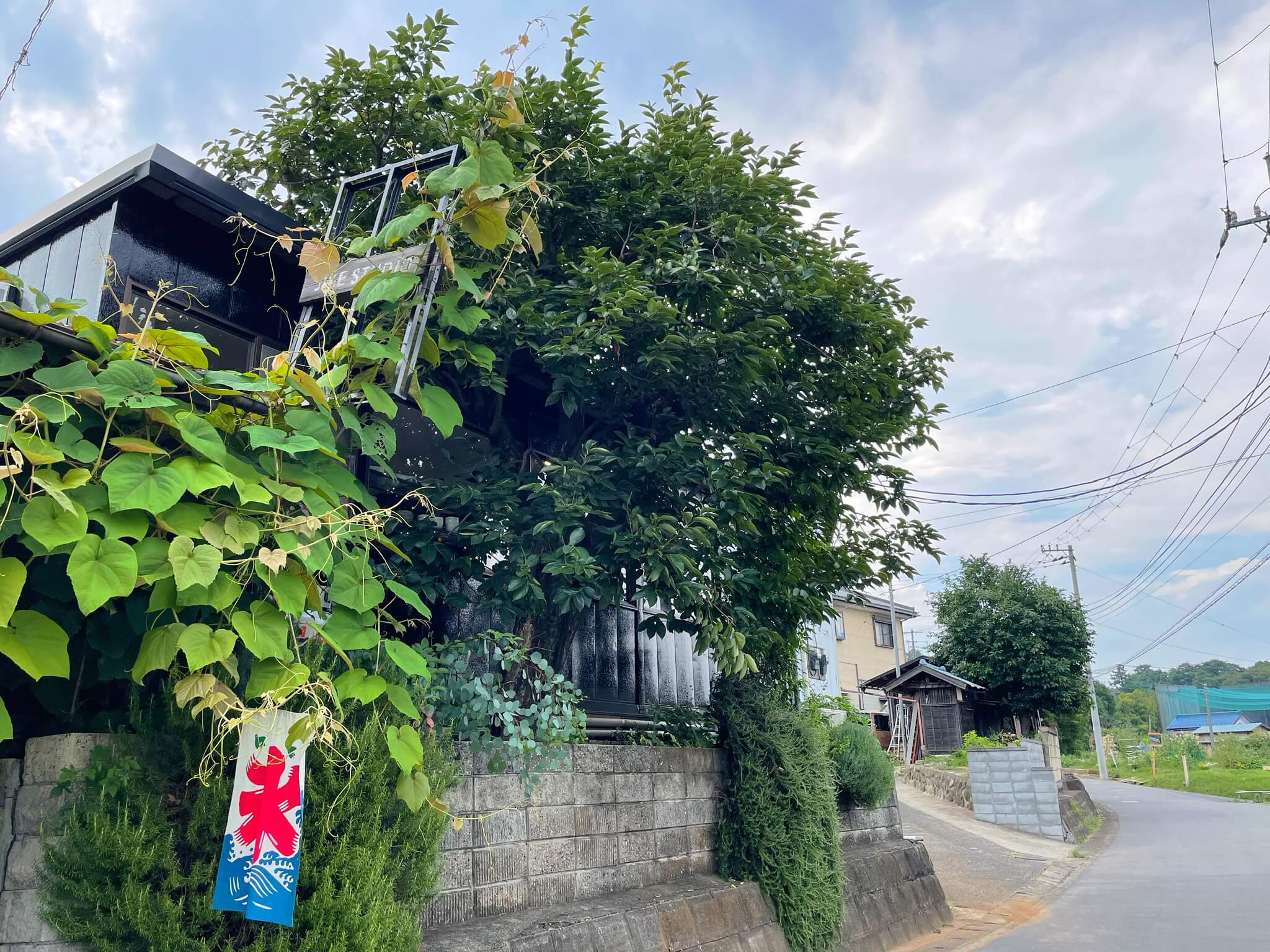 JIKE STUDIO　ジケスタジオ　神奈川県　寺家ふるさと村　LEE100人隊　TB　はな　おでかけ　おでかけ部