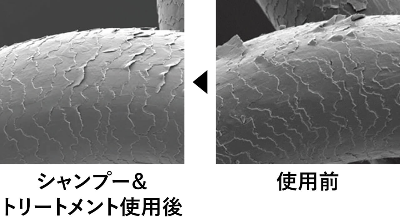 シャンプー&トリートメント使用後 使用前