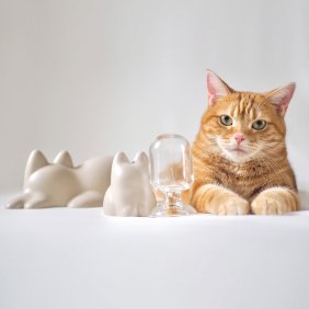 写真：無限ネコ製造機とヒゲ入れ！ 猫好き注目の「インテリアになる猫アイテム」2選と並ぶつむじちゃん