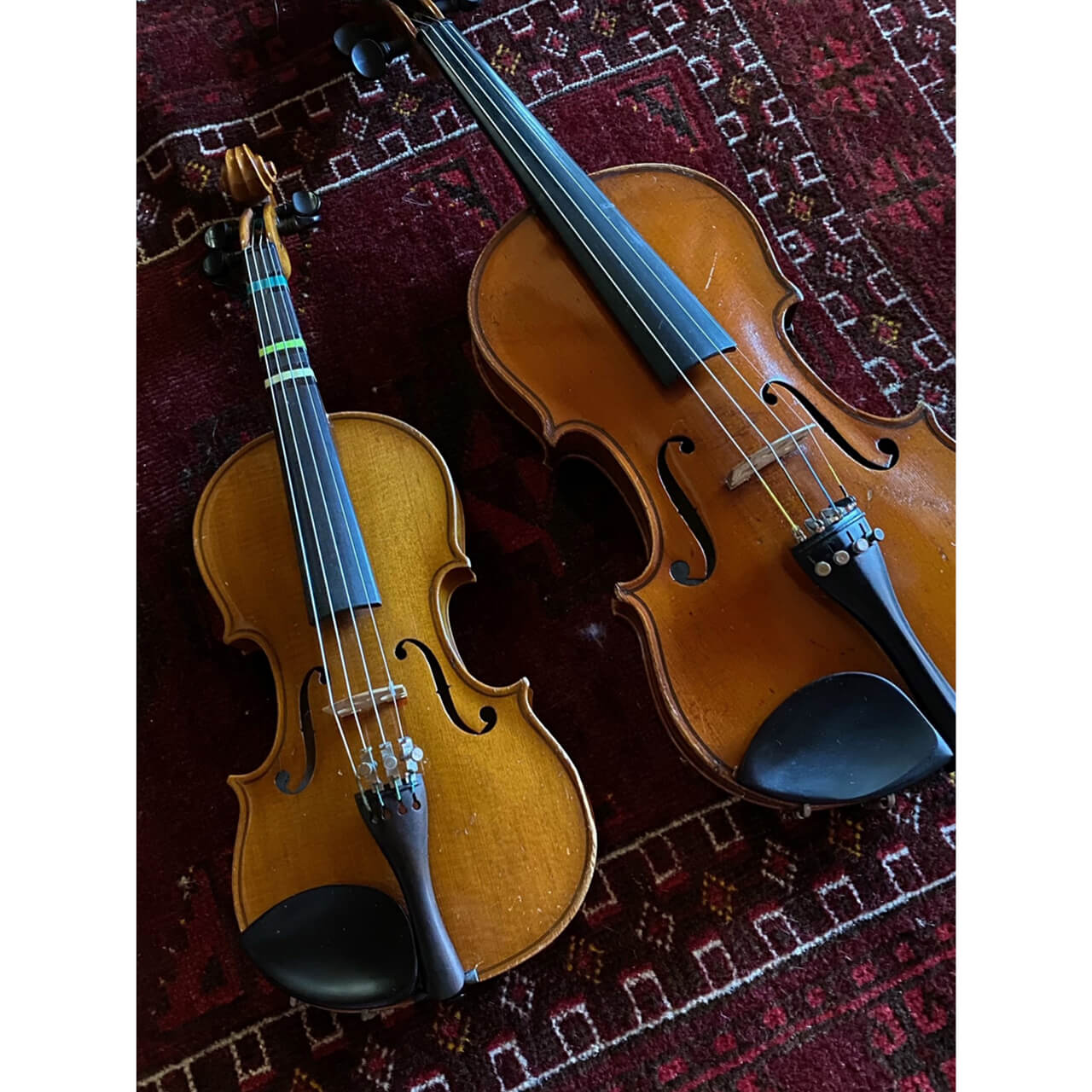 親子でサイズの違うヴァイオリン。砂原さんが小さい頃に使っていた楽器を娘さんが現在使用。