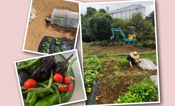 料理家ワタナベマキさんのサードプレイス！野菜作りが楽しい「体験農業」満喫中