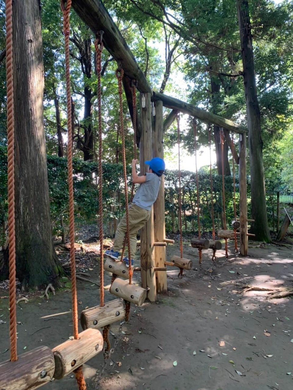 充実のアスレチック 秋の公園を満喫 Lee