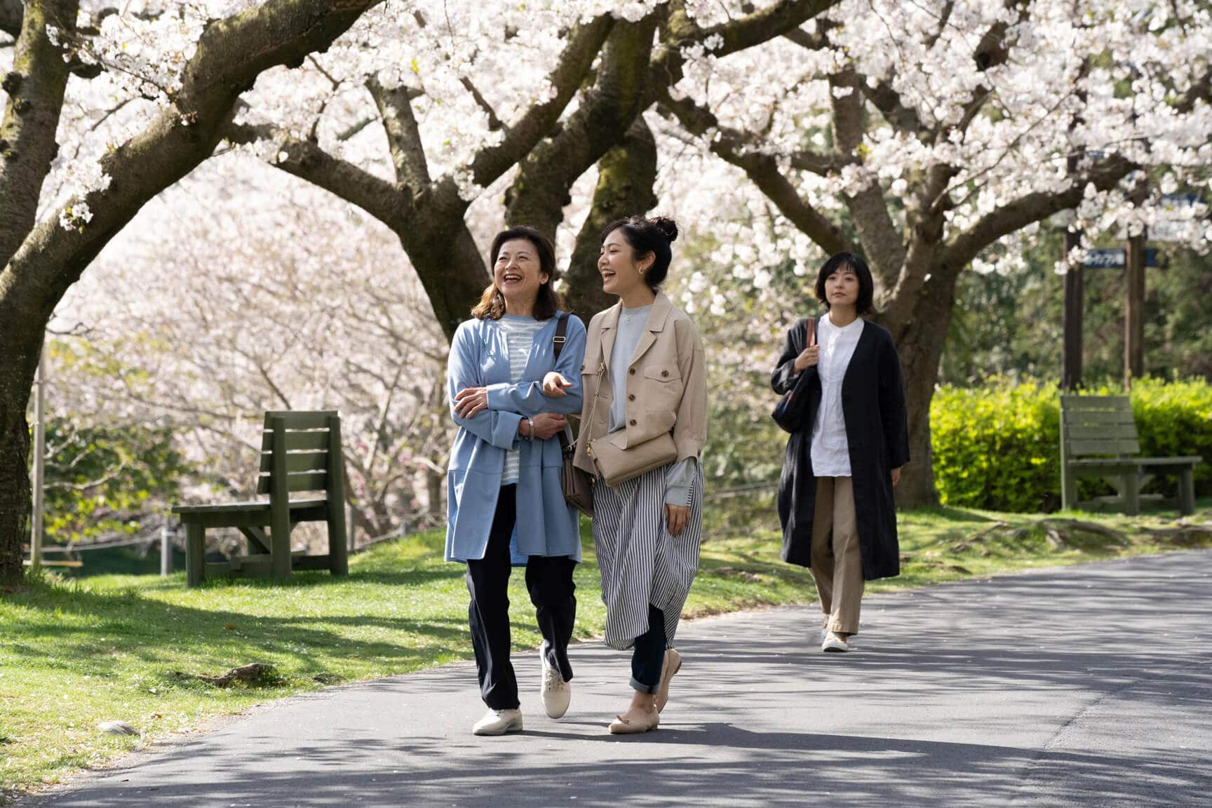 写真：映画「わたしのお母さん」のワンシーン/桜並木の中を