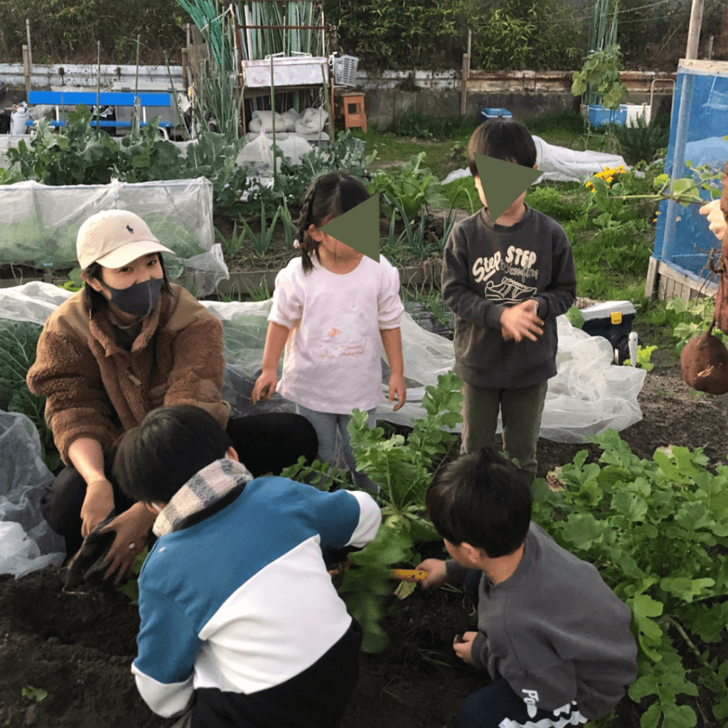 畑　野菜　家庭菜園　