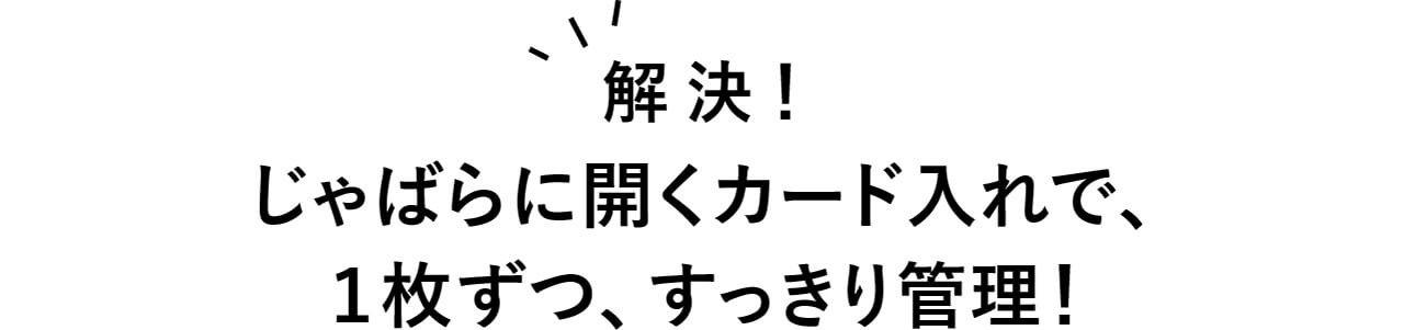 解決！　じゃばらに開くカード入れで、1枚ずつ、すっきり管理！
