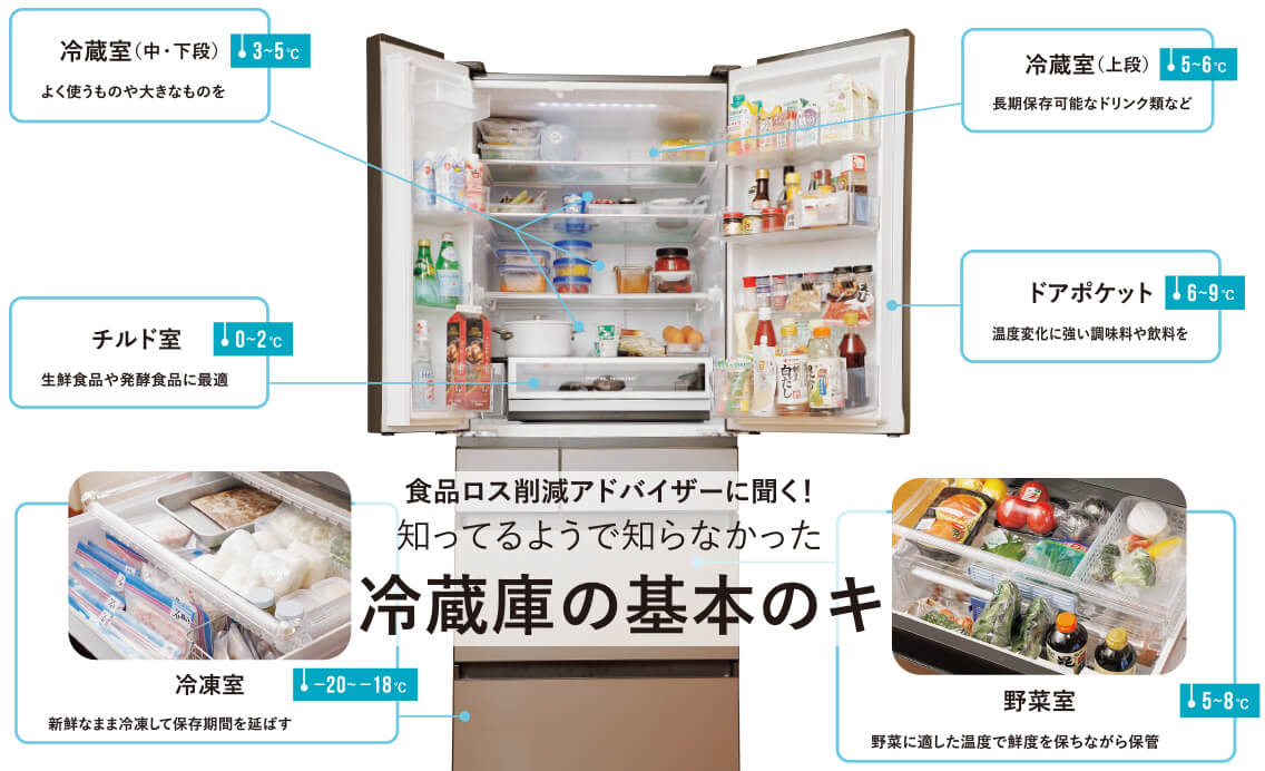 【冷蔵庫の基本のキ】食品ロス削減アドバイザーに聞く！食品ごとに適した場所に保存することでおいしく長もち！