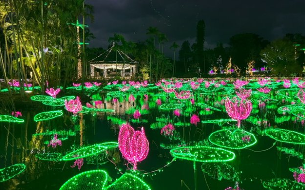 沖縄　東南植物楽園　イルミネーション2022