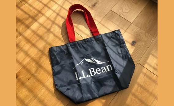 アイキャッチ写真：LEE1・2月合併号付録・L.L.Beanトートバッグ