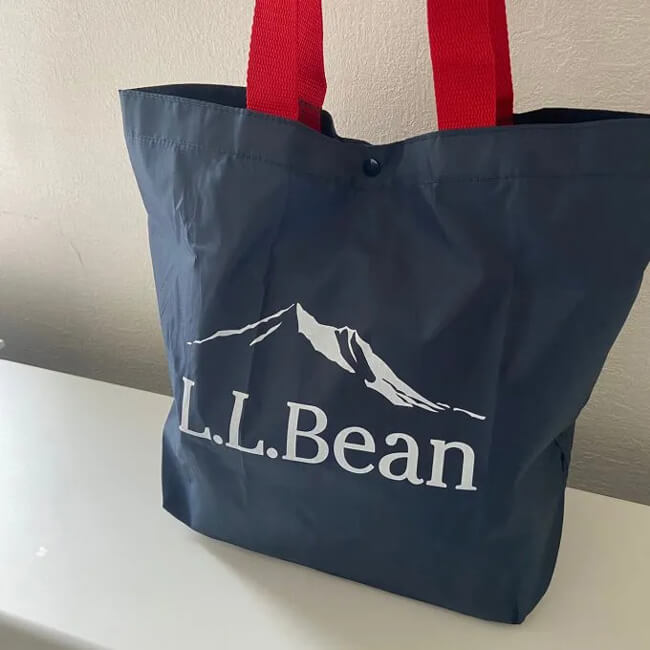 写真：LEE1・2月合併号の付録・L.L.BeanのBIGショルダートート