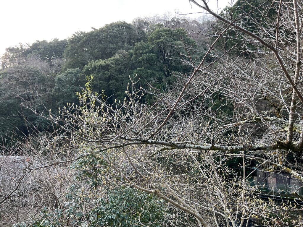 天山湯治郷　箱根