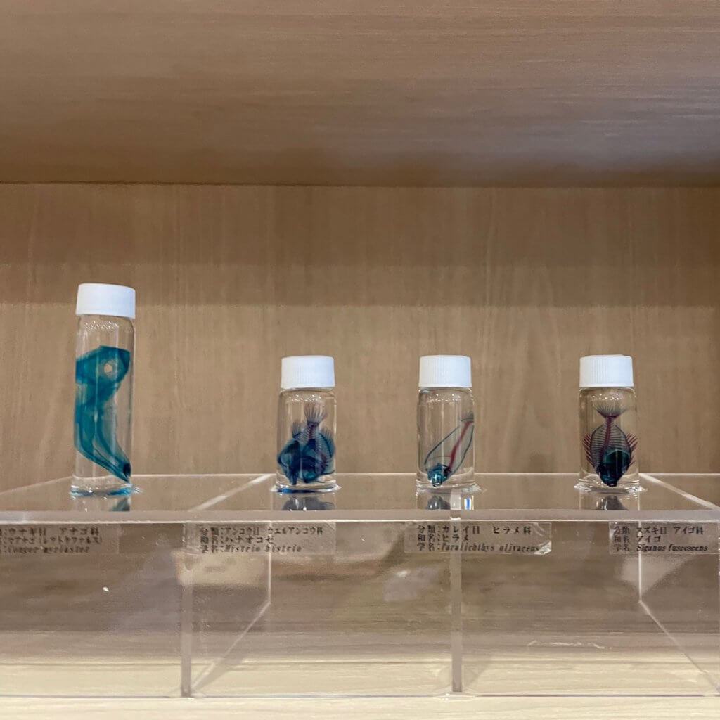 鈴木香里武、カリブ、透明標本、レッジョ・エミリア・アプローチ、星野リゾート、リゾナーレ大阪、アトリエ滞在