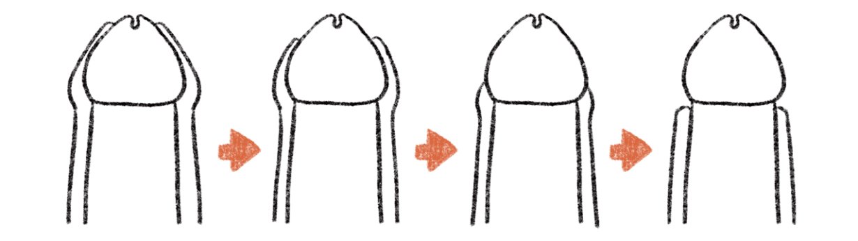 【男の子の「性」とおちんちんの成長】幼児期〜第二次性徴期（思春期）母が知っておくべきことは？ Lee 