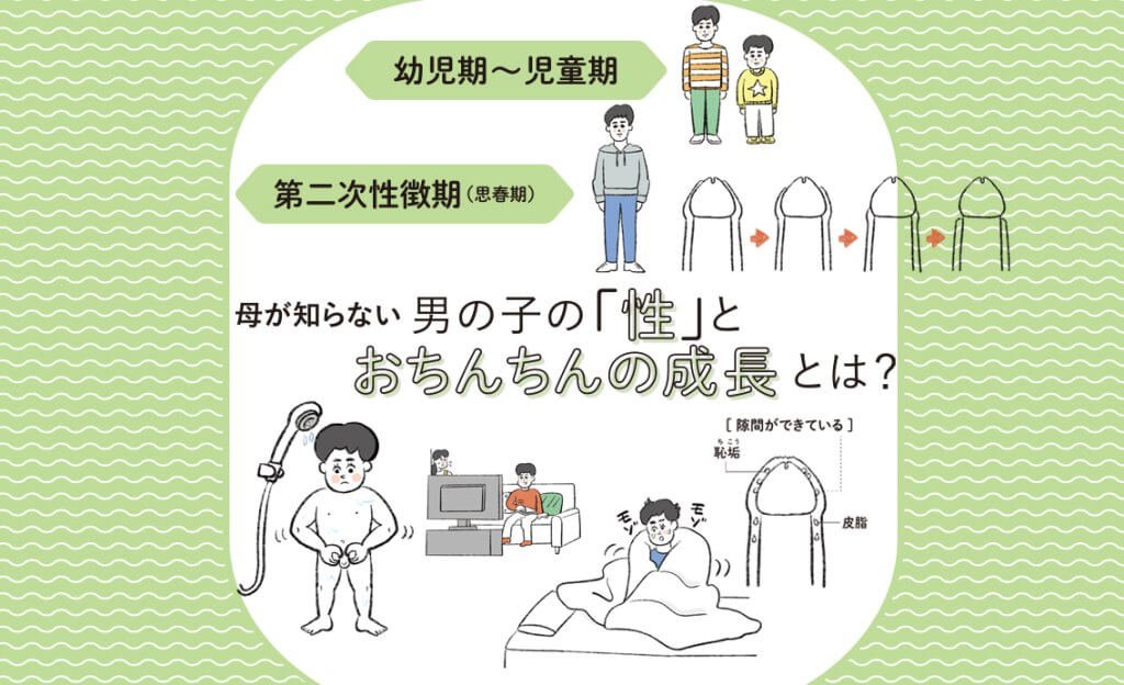 【男の子の「性」とおちんちんの成長】幼児期〜第二次性徴期（思春期）母が知っておくべきことは？ Lee 