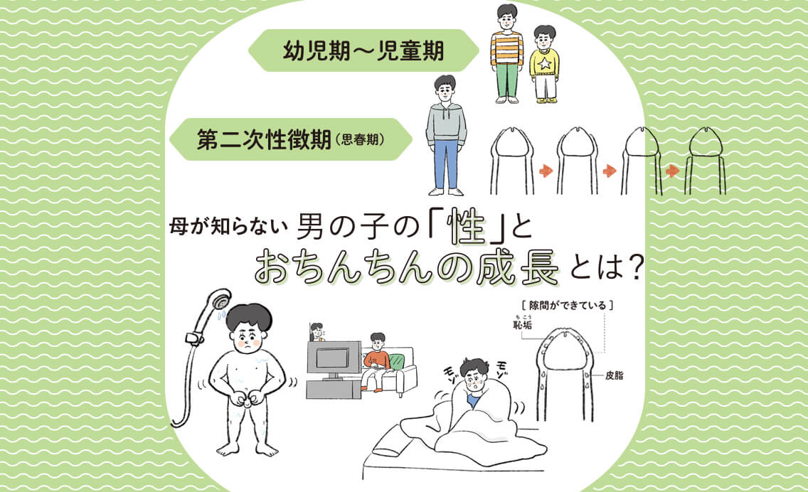 第二次性徴 思春期とは – 日本産婦人科医会