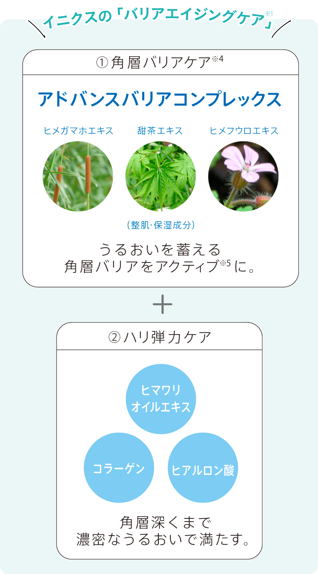 イニクス　メカニズム図