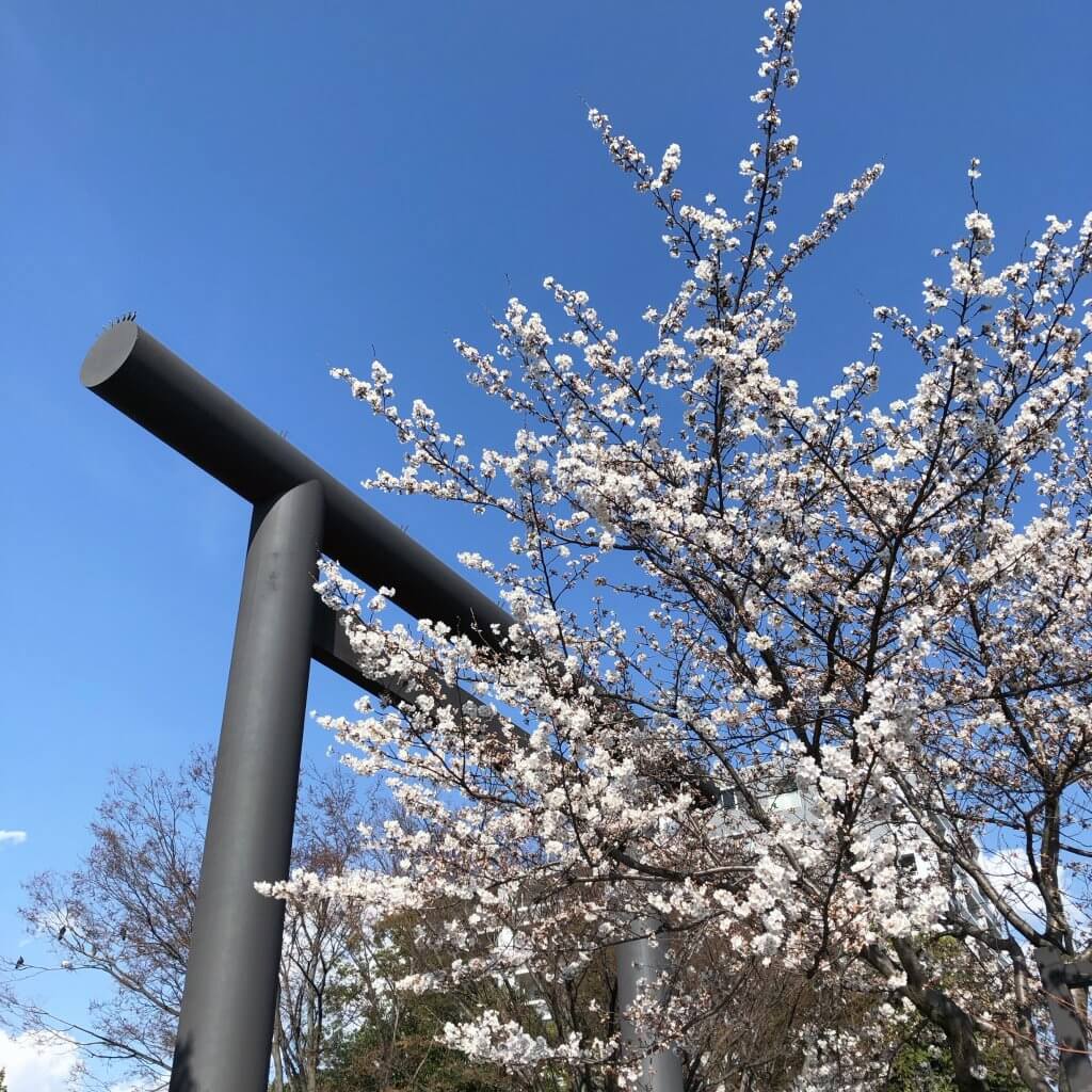 桜　お花見　長野　四柱神社