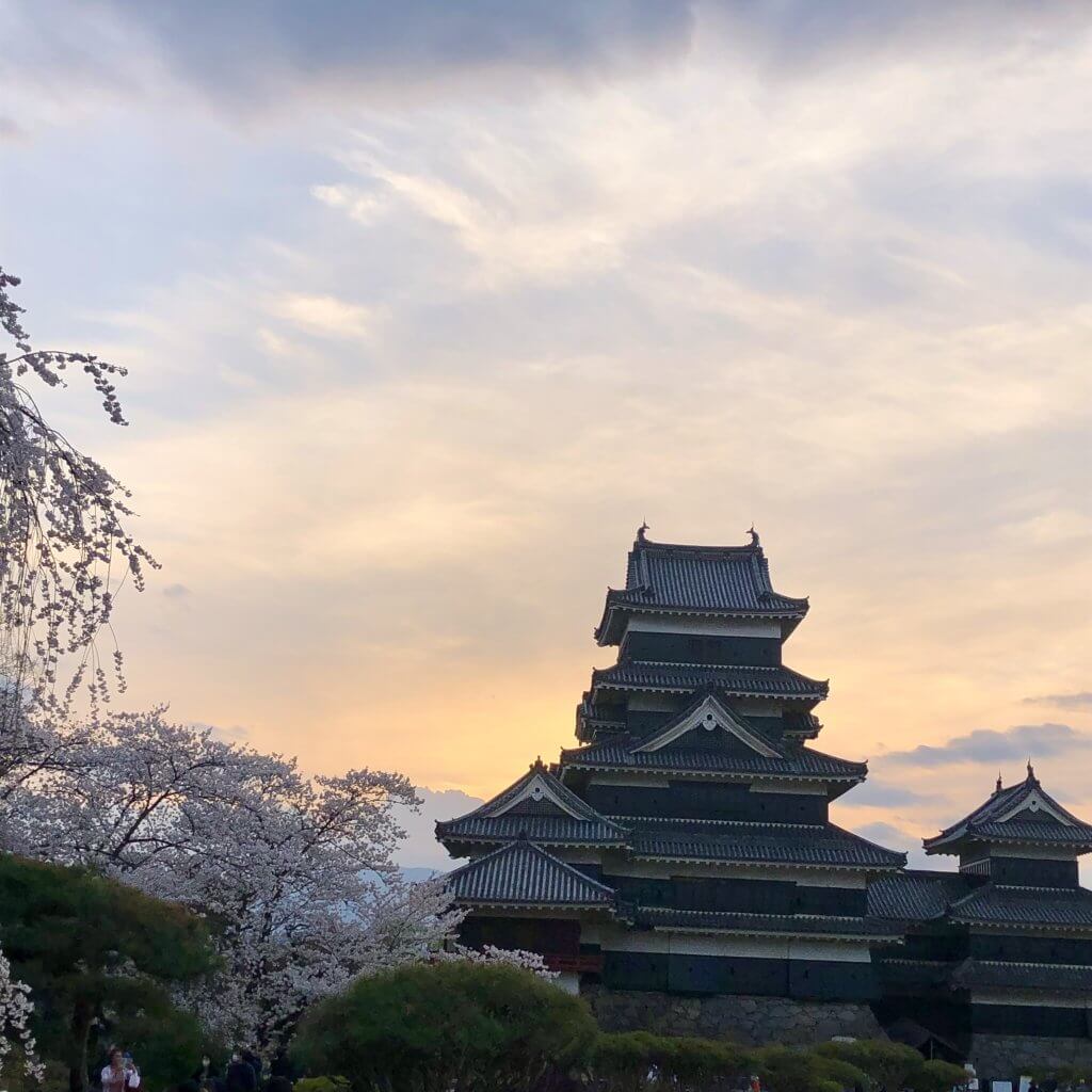 桜　お花見　松本城