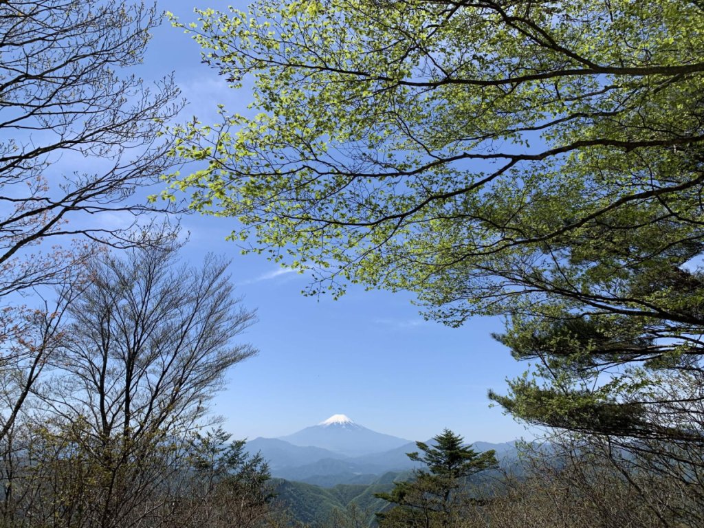 写真　三頭山から富士山を望む