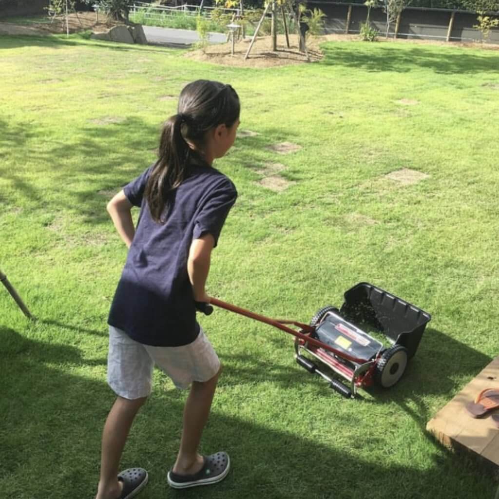 写真　芝刈りを手伝う娘