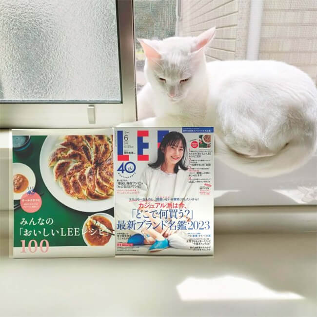 写真：LEE6月号と別冊付録『みんなの「おいしいLEEレシピ」100』と白猫