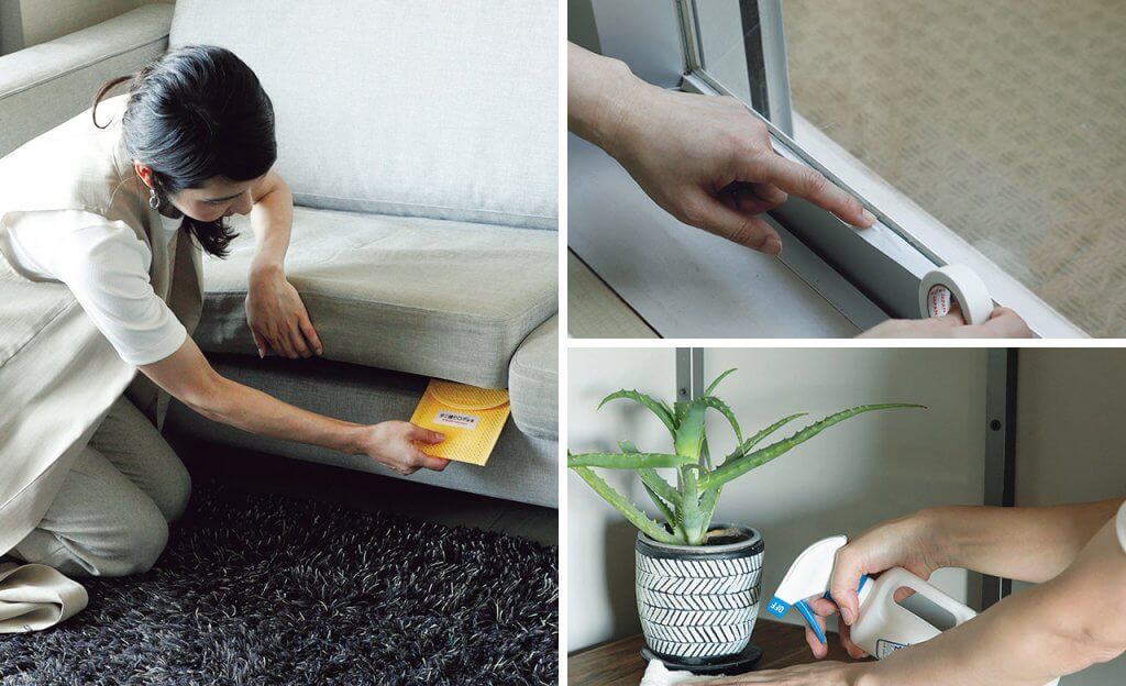 梅雨時期【リビングのカビ対策・5つの工夫】実はカビが増殖しやすい!エアコン、ソファ、窓まわり… | LEE
