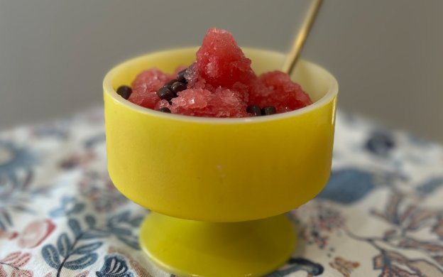 【LEEレシピ】ジッパー袋で「スイカシャーベット」近藤幸子さんの「おやこおやつ」レシピ作りました 001icoco