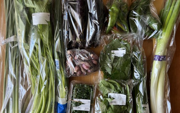 南国生活らしい日常のお買い物 001icoco