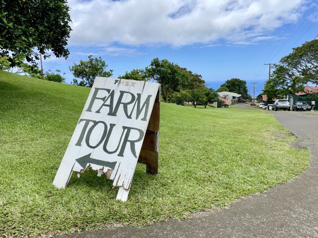 ハワイ島　コナコーヒー　農園　ツアー