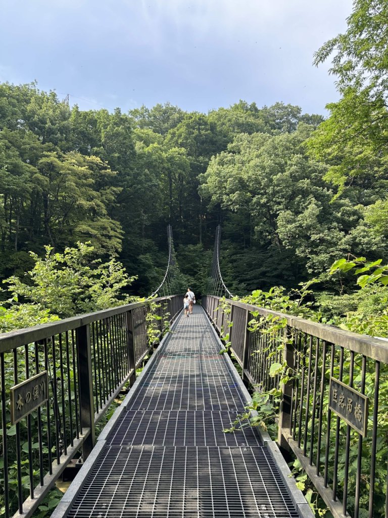 木の俣園地巨岩吊橋