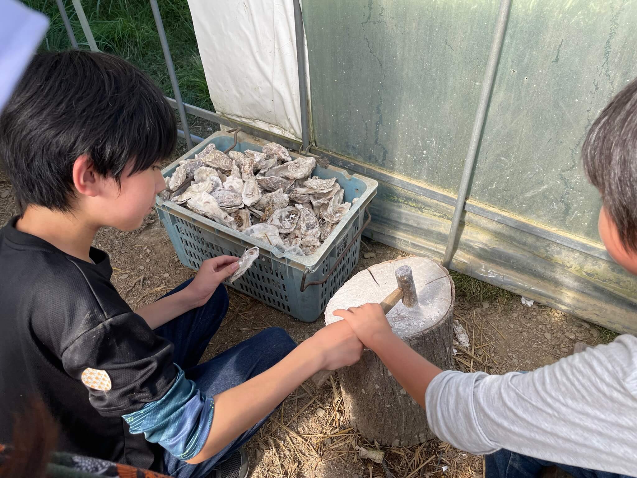 オニヴァ農園　ぴーちゃん　齋藤郁子さん　ｌEE100人隊　TB　はな　おでかけ　おでかけ部　徳島県神山町　神山　名西郡　ニワトリ　貝殻