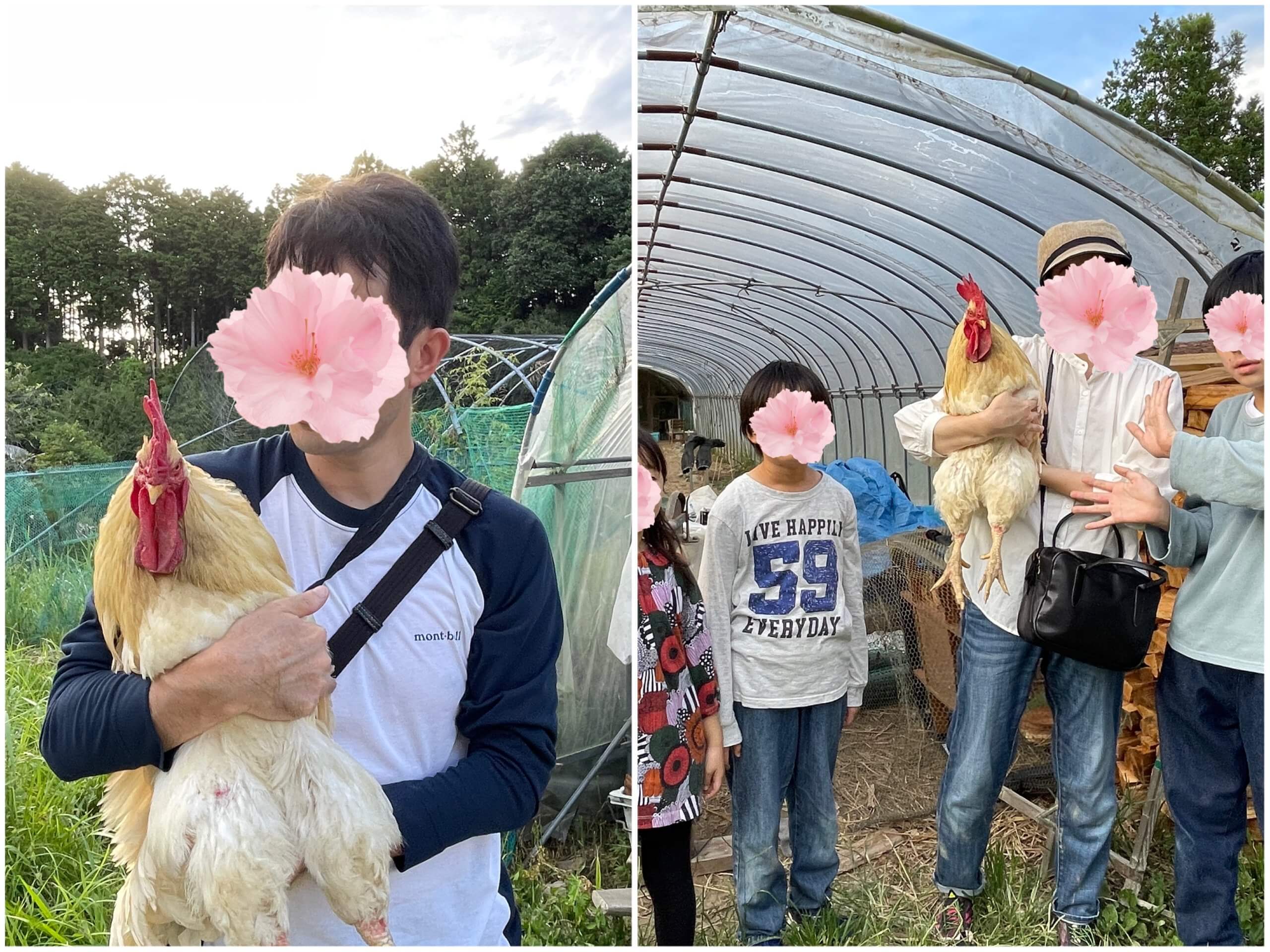 ぴーちゃん　神山町　ニワトリ　オニヴァ農園　齋藤郁子さん　　LEE100人隊　TB はな　おでかけ　おでかけ部