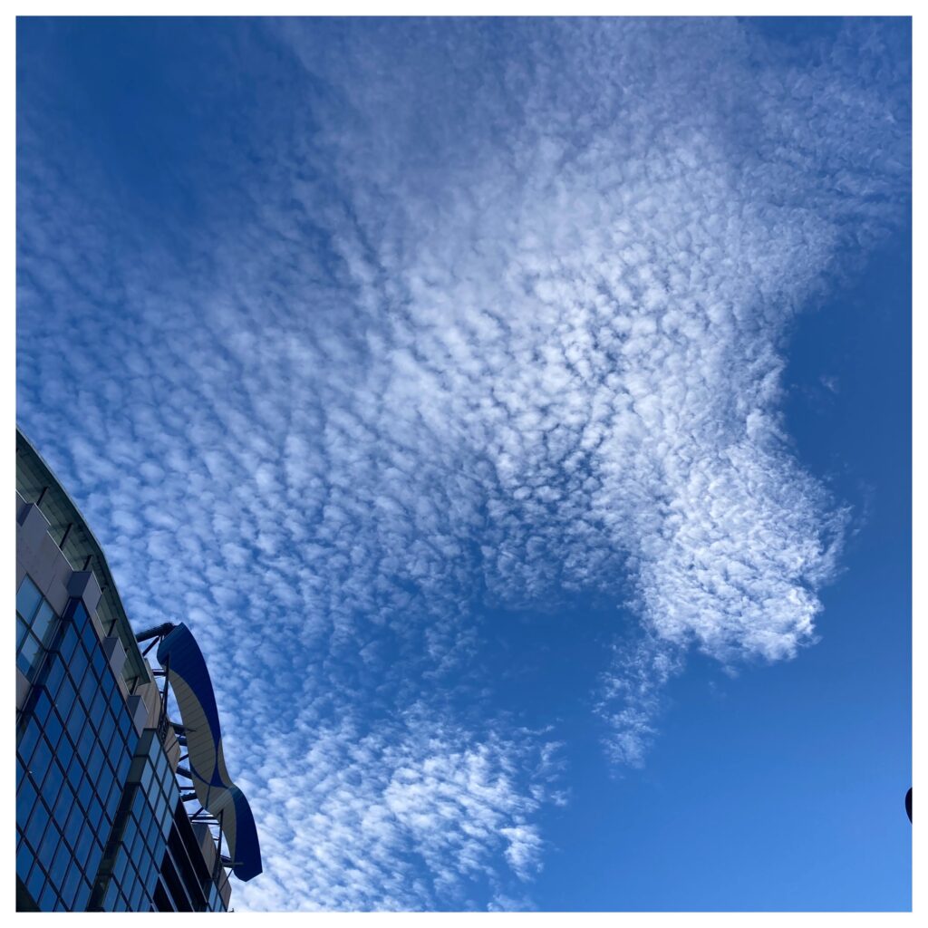 秋の空