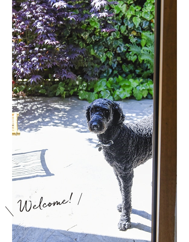 Welcome!　マレーネ・ビットさん、 ニコライ・ロレンツ・メンツェさん夫妻の愛犬