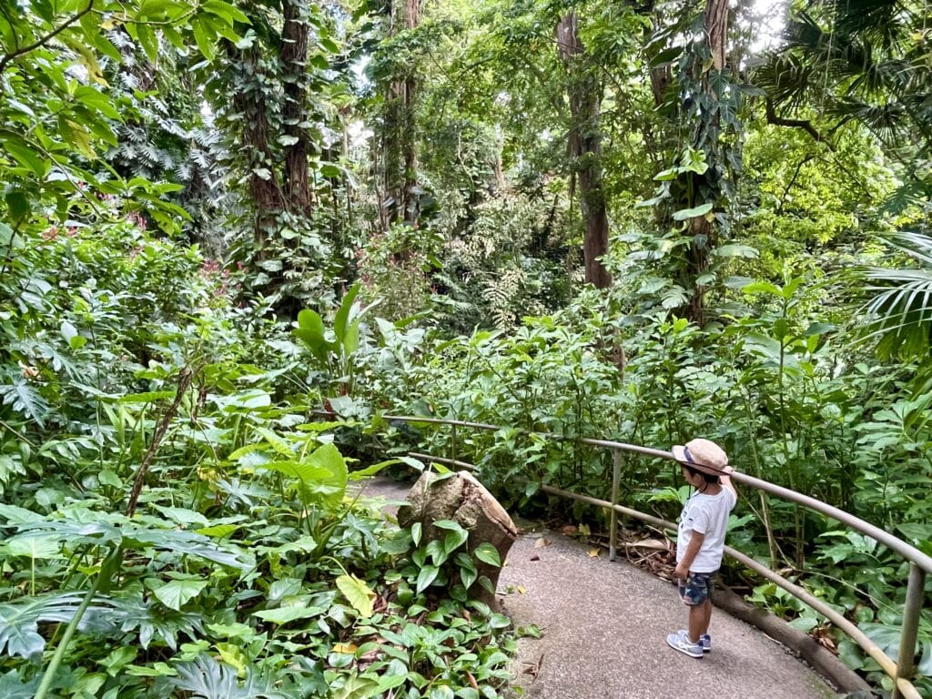 子連れ　ハワイ　植物園　ワヒアワ
