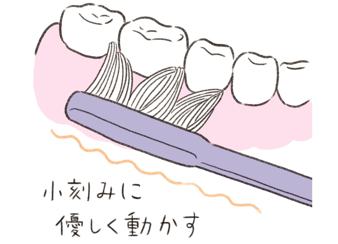 歯磨きは歯肉を傷つけずに汚れを落とす「角度」と「強さ」がポイント