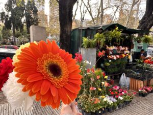 ブエノスアイレスの花屋さんの様子