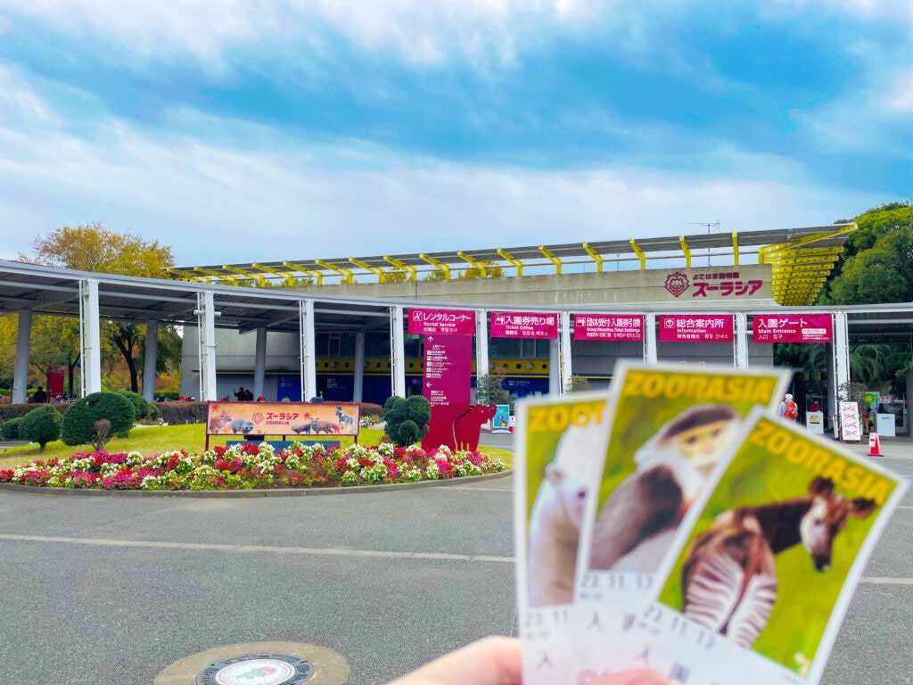 よこはま動物園ズーラシア　ズーラシア動物園　LEE100人隊　TB　はな　横浜市　子連れ　子連れ体験　小学生　代休　2023