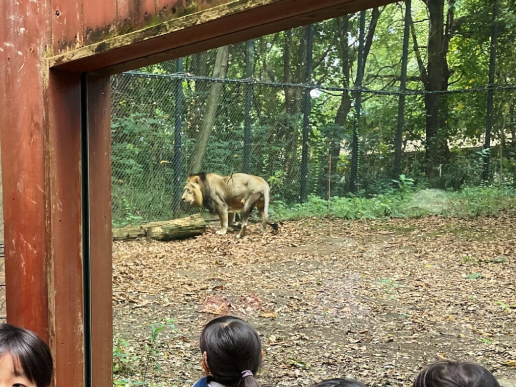 よこはま動物園ズーラシア　ズーラシア動物園　LEE100人隊　TB　はな　横浜市　子連れ　子連れ体験　小学生　代休　2023