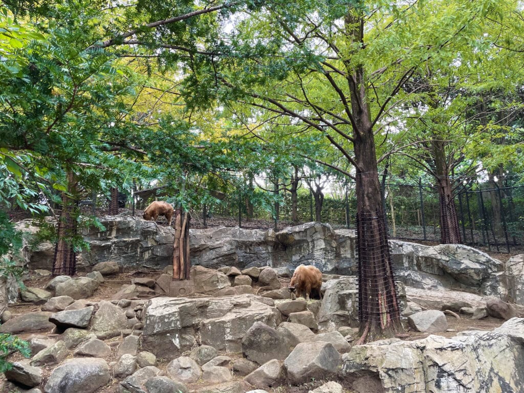 よこはま動物園ズーラシア　ズーラシア動物園　LEE100人隊　TB　はな　横浜市　子連れ　子連れ体験　小学生　代休　2023