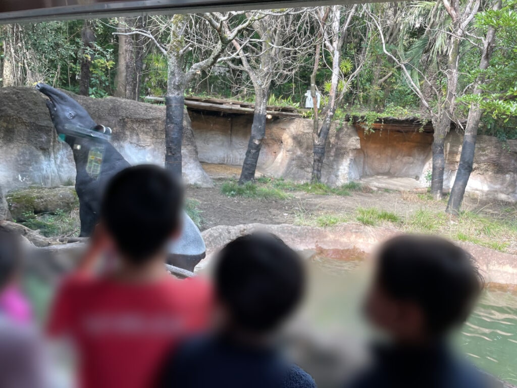 よこはま動物園ズーラシア　ズーラシア動物園　LEE100人隊　TB　はな　横浜市　子連れ　子連れ体験　小学生　代休　2023