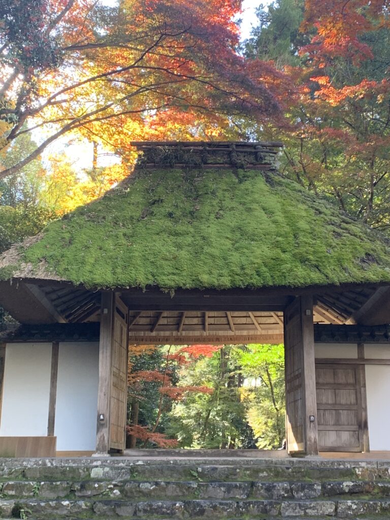 写真　京都　法然院