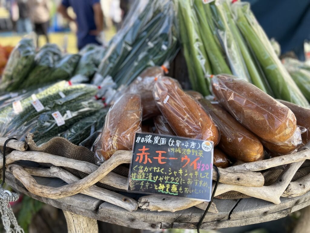 【沖縄】新鮮野菜と国産スパイスを求めて本島北部やんばるへ 001icoco