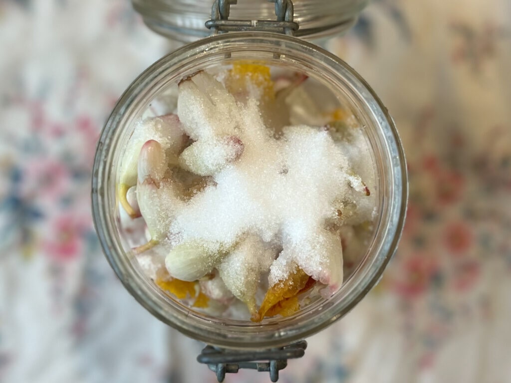 【天然酵母作り】①月桃の花からパンを焼きたい001icoco