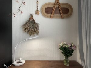 コストコ　COSTCO　デスクライト　ジェントス　GENTOS　高速充電　ワイヤレス急速充電　「Qi」対応　LEDデスクライト　3段階調光　USBポート付き　多機能　LEE100人隊　TB　はな　今日のお買い物　コストコ購入品　COSTCO購入品