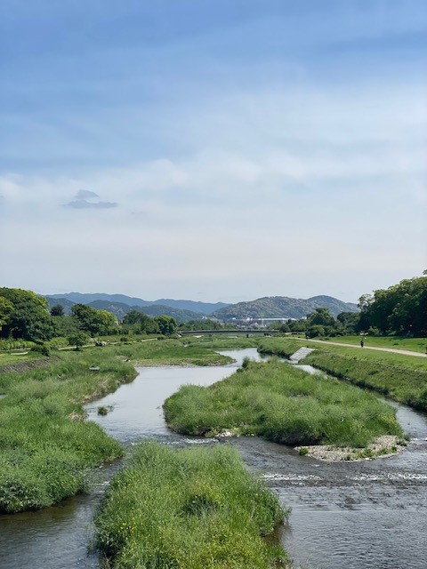 賀茂川