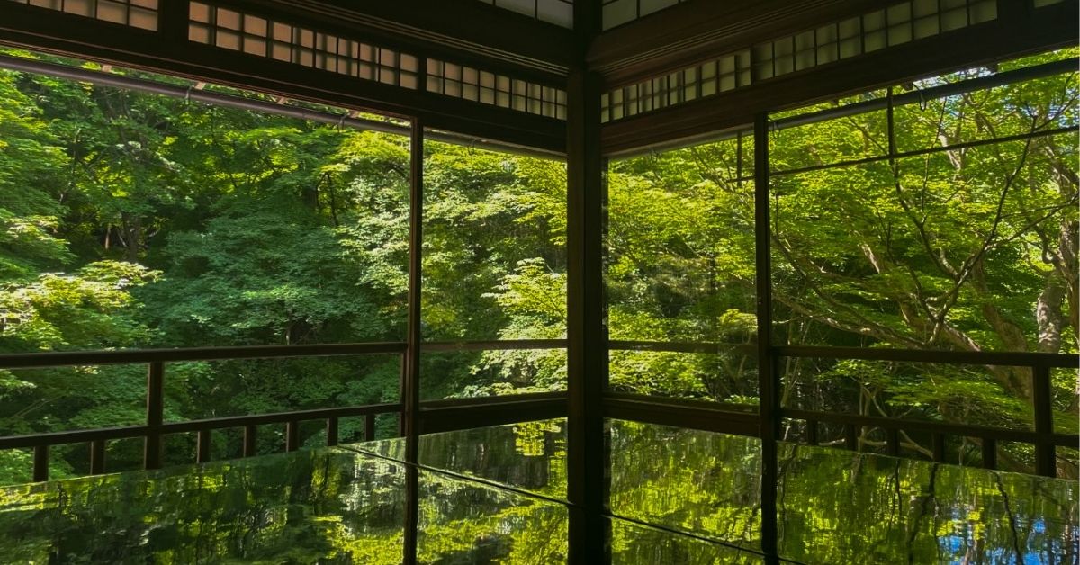 涙が出るほど素晴らしい、新緑の京都、瑠璃光院へ