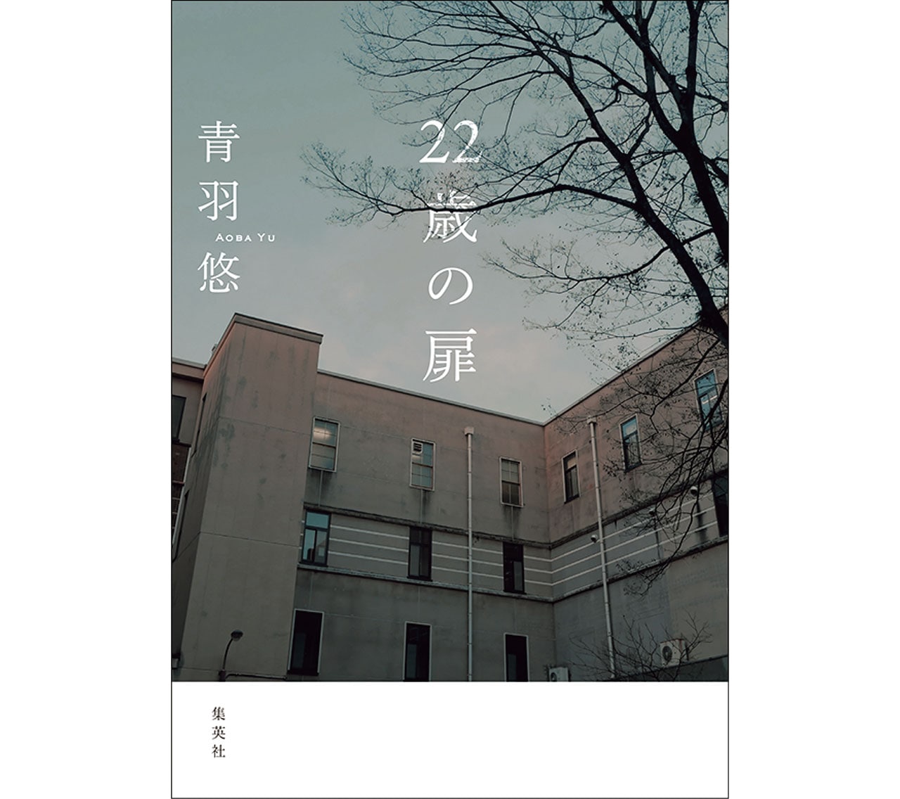 『22歳の扉』