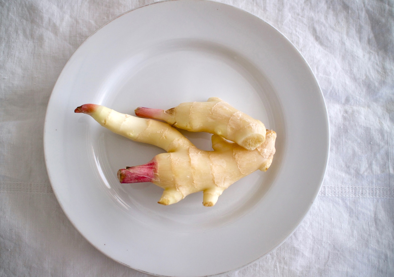「歩粉（ほこ）」磯谷仁美さんの、おうちで作れるやさしいお菓子 新生姜コンポートレアチーズケーキ レシピ  新生姜